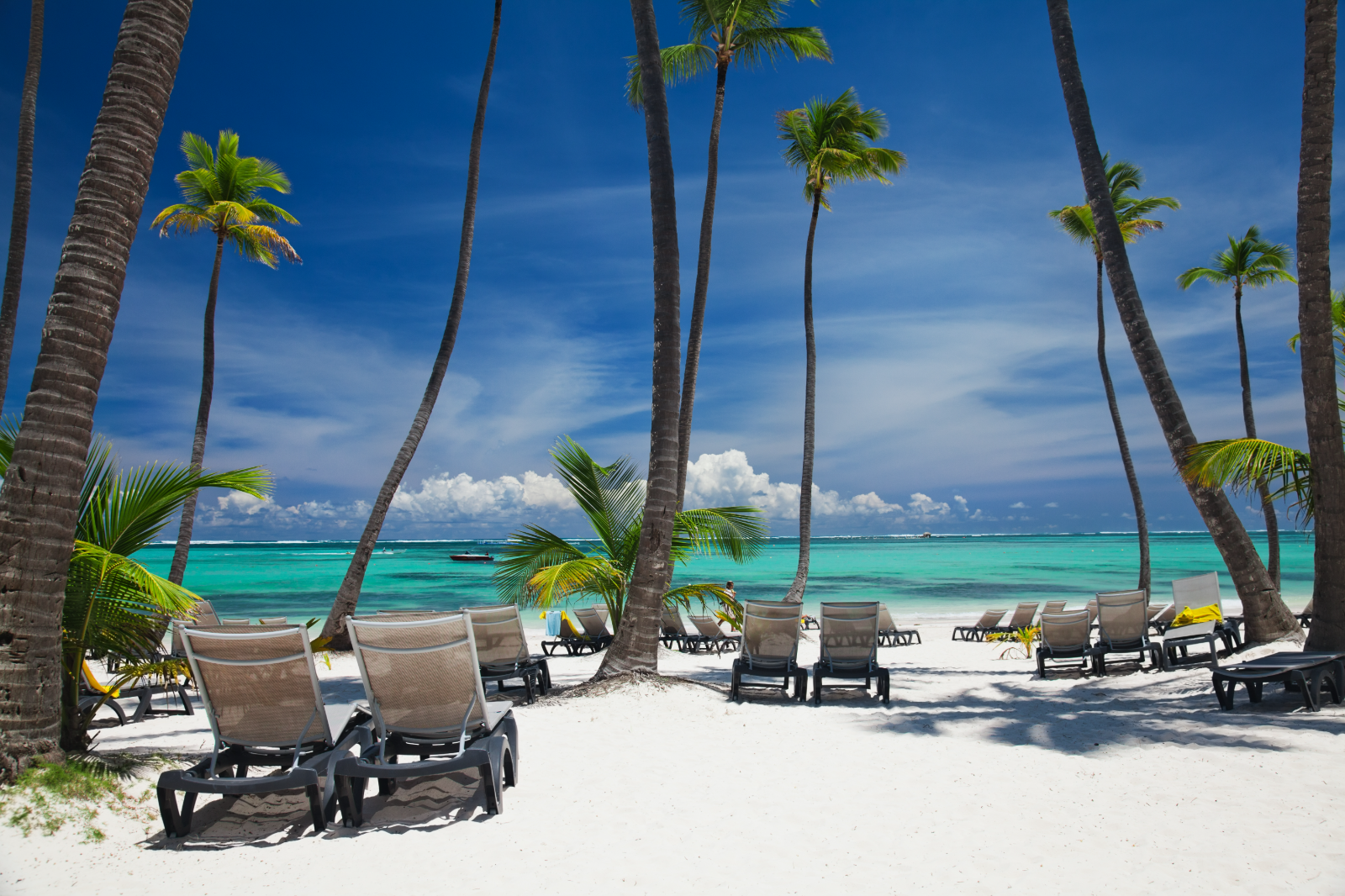 Depart & Arrive in Punta Cana